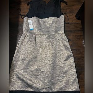 beautiful dress brand Ivy & blu color gold and black new